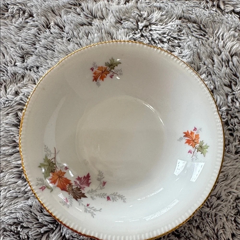 Winterling Bavaria Germany Autumn Leaves Set of 4 Fruit Dessert Bowls 5.5